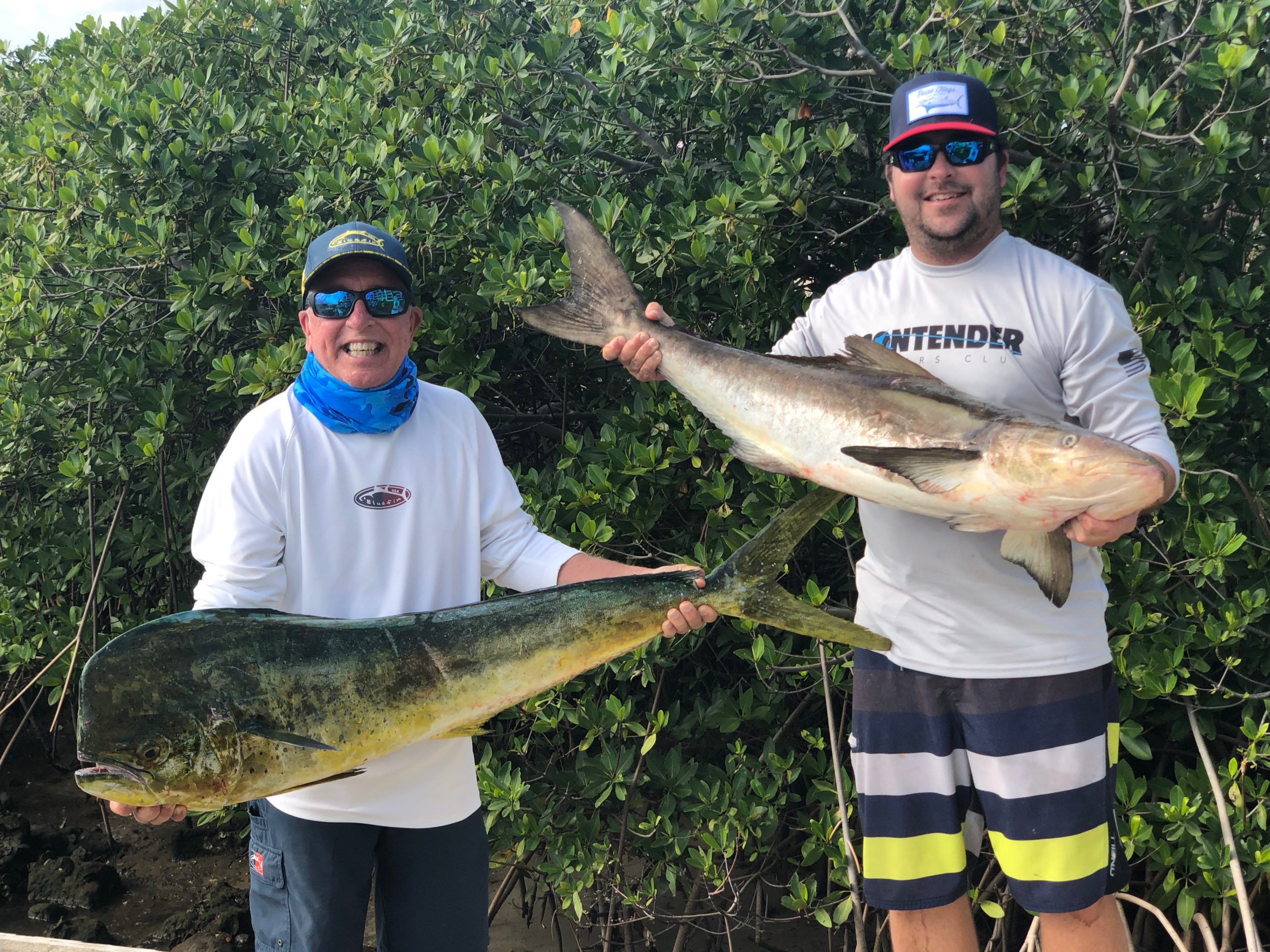 Bill and Paul Sabayrac with a cobia and a dolphin on 20 gen 3-26-19